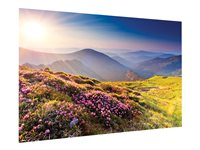 Projecta FullVision Wide Format - projektorduk - 111.4" (283 cm) 10600768