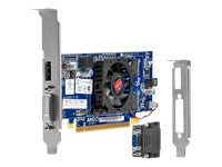 AMD Radeon HD 7450 - grafikkort - Radeon HD 7450 - 1 GB 697247-001