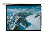 Euroscreen Freya Tab Tension NO BLACK BORDERS - projektorduk - 123" (313 cm) FRTZ250L