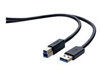 Belkin - USB-kabel - USB Type B till USB typ A - 1.8 m F3U159CP1.8M-P