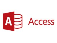 Microsoft Access 2013 - licens - 1 PC 077-06653
