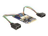 DeLock MiniPCIe I/O PCIe full size 2 x USB 2.0 - USB-adapter - PCIe Mini Card - USB 2.0 x 2 95242