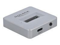 DeLOCK M.2 Docking Station - gränssnittsadapter - M.2 NVMe Card - USB 3.2 (Gen 2) 64000