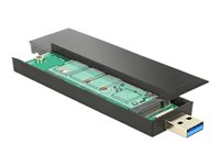 DeLOCK - förvaringslåda - SATA 6Gb/s - USB 3.1 (Gen 2) 42593
