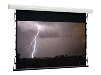 Euroscreen Thor Tab Tension projektorduk - 135" (343 cm) TFTZ300-D