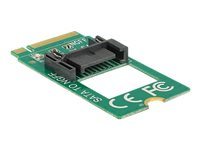 DeLOCK Adapter M.2 Key B male > SATA 7 pin - gränssnittsadapter - SATA 6Gb/s - M.2 Card 62876