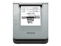 Epson TM L100 (111) - kvittoskrivare - svartvit - termisk linje C31CJ52111