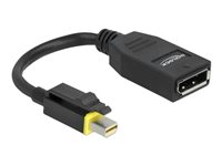 Delock - DisplayPort-adapter - Mini DisplayPort till DisplayPort - 15 cm 65978
