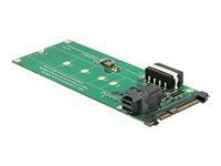 DeLOCK Converter U.2 SFF-8639 / SFF-8643 NVMe > 1 x M.2 Key M - gränssnittsadapter - M.2 Card - SAS 6Gb/s, U.2 62945