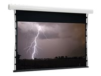 Euroscreen Thor Tab Tension projektorduk - 209" (531 cm) TFTZ425L