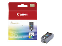 Canon CLI-36 Color - 12 ml - färg (cyan, magenta, gul, svart) - original - bläckpatron - för PIXMA iP100, iP100wb, iP110, mini260, mini320, TR150 1511B001