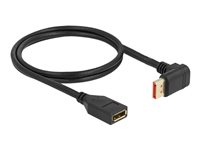 Delock - DisplayPort-förlängningskabel - DisplayPort till DisplayPort - 1 m 87080