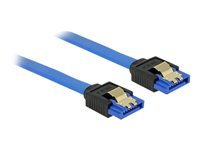 DeLOCK SATA-kabel - 20 cm 84977