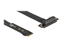 Delock M.2 Key M to PCIe x4 NVMe - gränssnittsadapter - PCIe 4.0 x4 (NVMe) - M.2 Card 64132