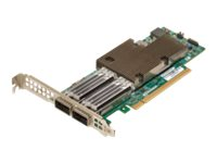 Broadcom NetXtreme E-Series P2100G - nätverksadapter - PCIe 4.0 x16 - 100 Gigabit QSFP56 x 2 BCM957508-P2100G