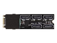 Delock - gränssnittsadapter - SATA 6Gb/s - M.2 Card 64051