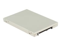 Delock - gränssnittsadapter - M.2 Card / mSATA - U.2, SATA Express 62786