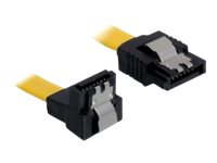 DeLOCK Cable SATA - SATA-kabel - 50 cm 82811