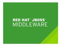 JBoss Data Grid - standardabonnemang (3 år) - 64 kärnor MW00103F3