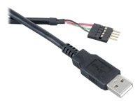 Akasa EXUSBIE-40 - USB-kabel - USB - 40 cm EXUSBIE-40