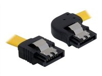 DeLOCK Cable SATA - SATA-kabel - 30 cm 82828