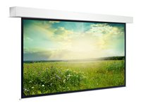 Projecta Descender Large Electrol HDTV Format - projektorduk - 221" (562 cm) 10101460