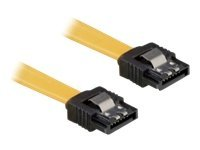 DeLOCK Cable SATA - SATA-kabel - 50 cm 82809