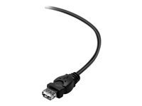 Belkin - USB-förlängningskabel - USB till USB - 3 m F3U153bt3M
