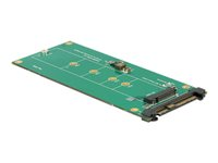 DeLOCK Converter U.2 SFF-8639 NVMe > 1 x M.2 Key M - gränssnittsadapter - M.2 Card - U.2 62865