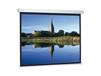 Projecta Compact RF Electrol HDTV Format - projektorduk - 95" (241 cm) 10101993