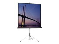 Projecta Picture King wide format - projektorduk med stativ - 94" (239 cm) 10430095