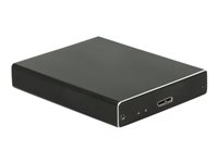 DeLOCK External Enlosure 2 x M.2 Key B to Superspeed USB - gränssnittsadapter - USB 3.1 (Gen 2) 42588