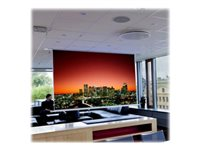 Euroscreen Sesame Electric 2.1 Square Format - projektorduk - 122" (311 cm) SXZ220