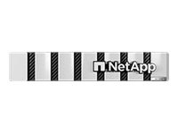 NetApp AFF C-Series AFF-C250 HA - High Availability - NAS-server AFF-C250A-001