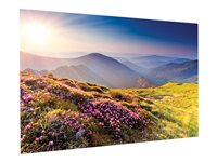 Projecta FullVision Wide Format - projektorduk - 139.4" (354 cm) 10600770