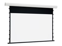 Euroscreen Thor Electric projektorduk - 209" (530 cm) TFZ375