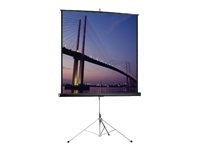 Projecta Picture King HDTV Format - projektorduk med stativ - 90" (228 cm) 10430089