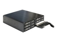 Delock 5.25" Mobile Rack for 6 x 2.5" SATA HDD / SSD - hållare för lagringsenheter 47221