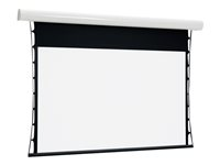 Euroscreen Thor Electric projektorduk - 176" (447 cm) TFZ400-W